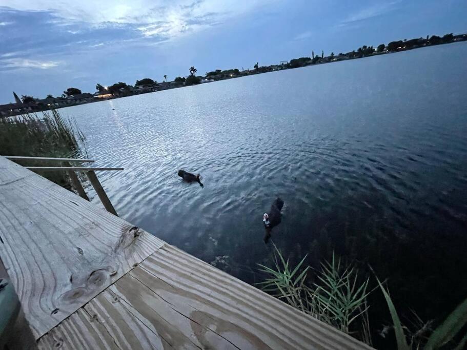 Supervilla - Lakefront - Sunsets, Kayaks, Grill Форт Лодърдейл Екстериор снимка